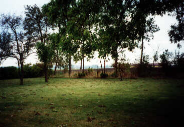 Trägården i norr.